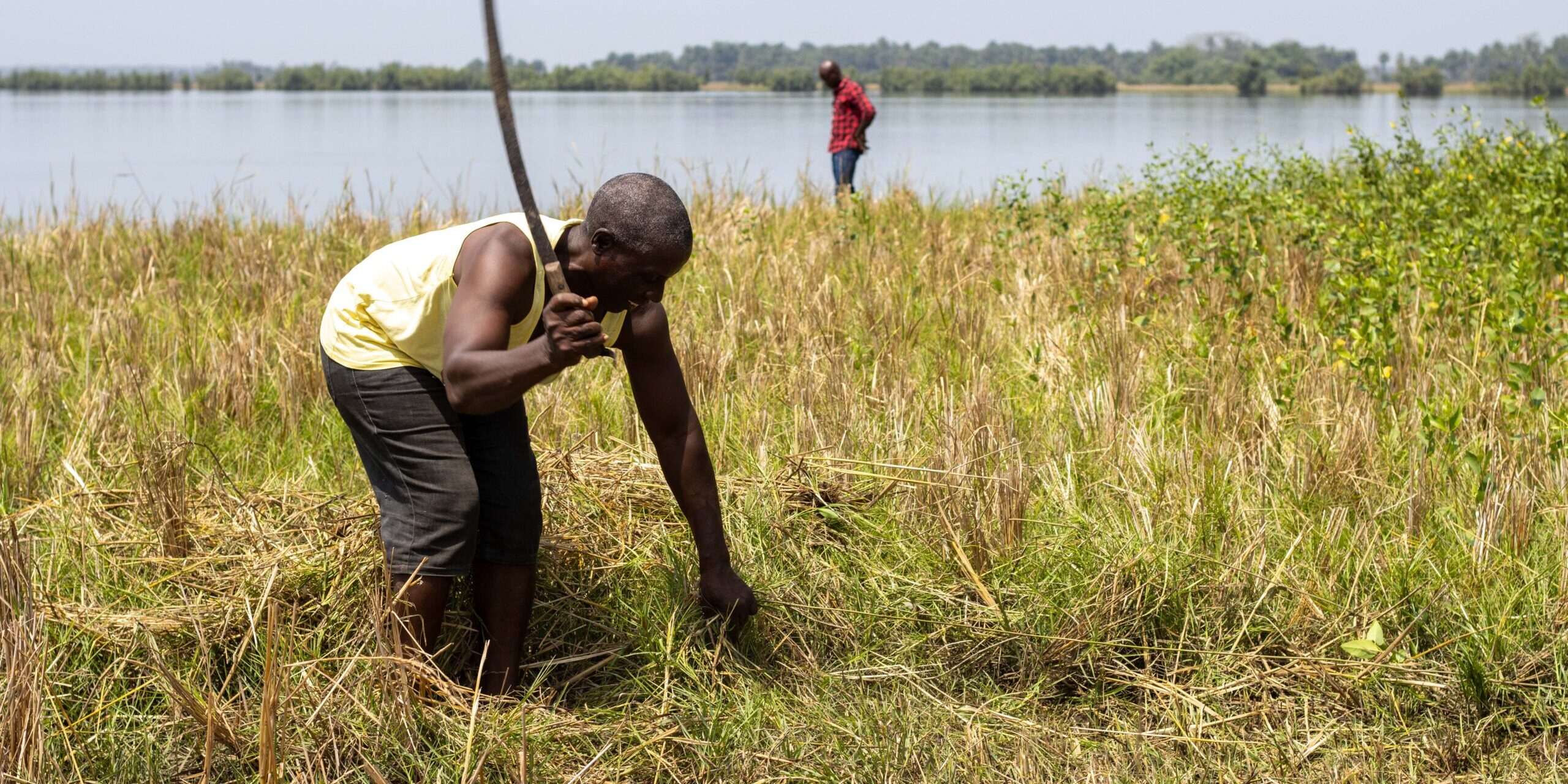 farmer in field