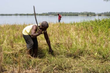 farmer in field