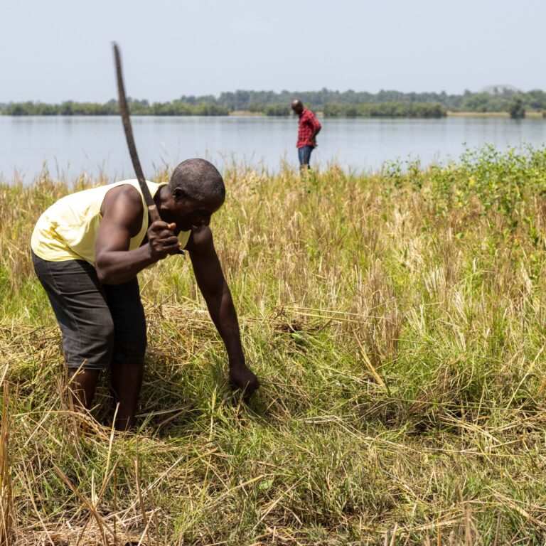 farmer in field